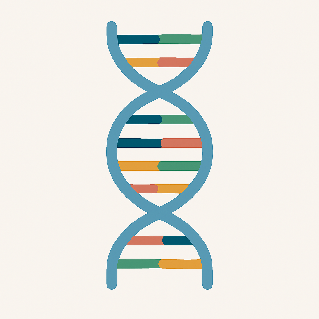 Illustration of a DNA double helix